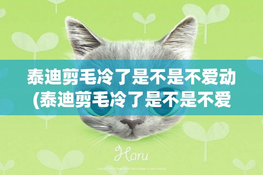 泰迪剪毛冷了是不是不愛動(泰迪剪毛冷了是不是不愛動了)