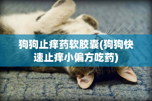 狗狗止癢藥軟膠囊(狗狗快速止癢小偏方吃藥)