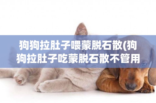 狗狗拉肚子喂蒙脫石散(狗狗拉肚子吃蒙脫石散不管用)