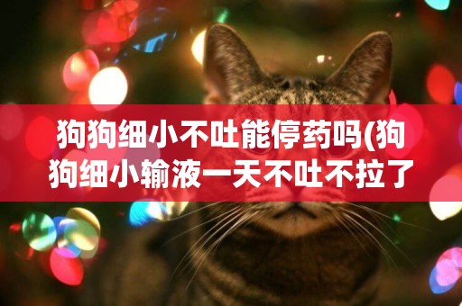 狗狗細小不吐能停藥嗎(狗狗細小輸液一天不吐不拉了)