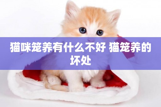 貓咪籠養有什么不好 貓籠養的壞處