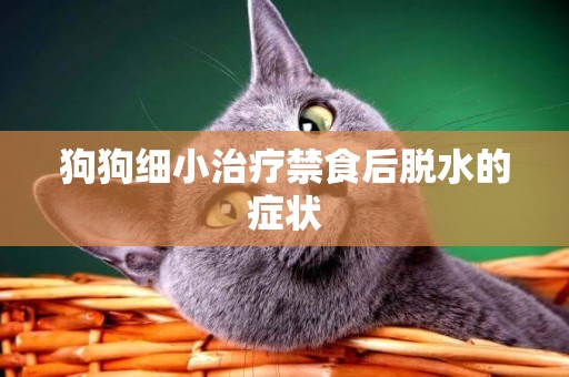 狗狗細小治療禁食后脫水的癥狀