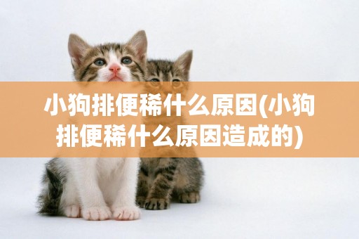 小狗排便稀什么原因(小狗排便稀什么原因造成的)