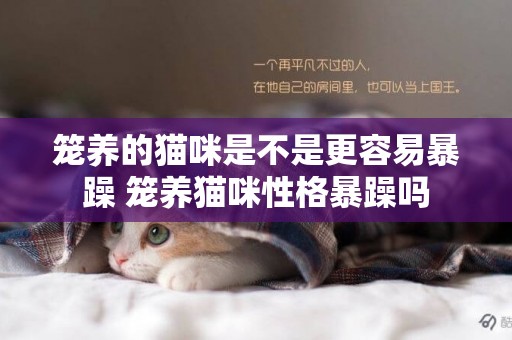籠養的貓咪是不是更容易暴躁 籠養貓咪性格暴躁嗎