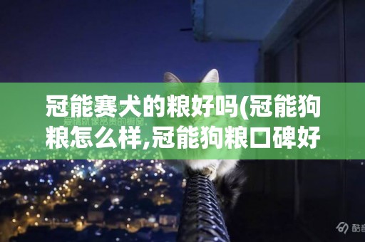 冠能賽犬的糧好嗎(冠能狗糧怎么樣,冠能狗糧口碑好不好)