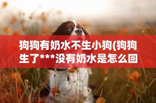 狗狗有奶水不生小狗(狗狗生了***沒有奶水是怎么回事)
