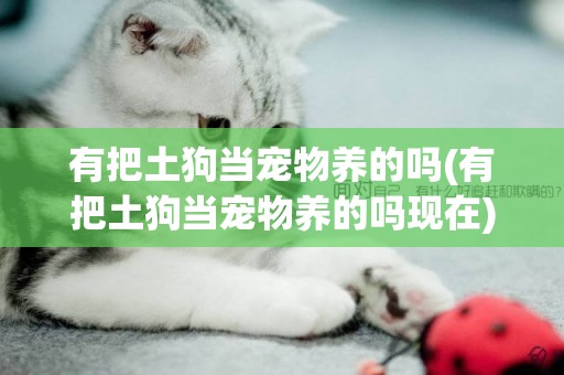 有把土狗當寵物養的嗎(有把土狗當寵物養的嗎現在)
