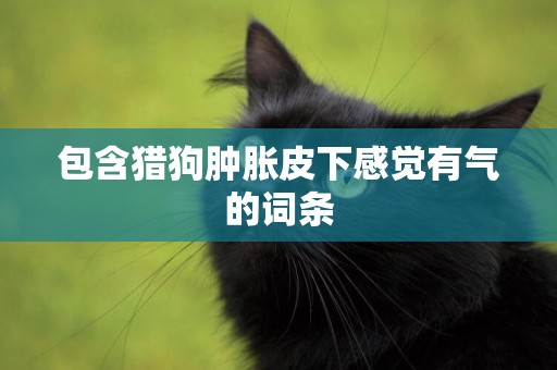 包含獵狗腫脹皮下感覺有氣的詞條