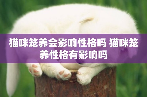 貓咪籠養會影響性格嗎 貓咪籠養性格有影響嗎