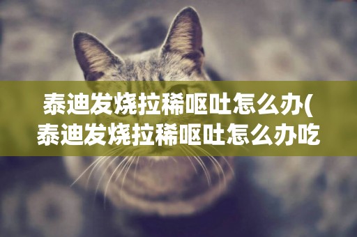泰迪發燒拉稀嘔吐怎么辦(泰迪發燒拉稀嘔吐怎么辦吃什么藥)