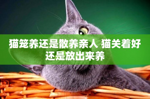 貓籠養還是散養親人 貓關著好還是放出來養