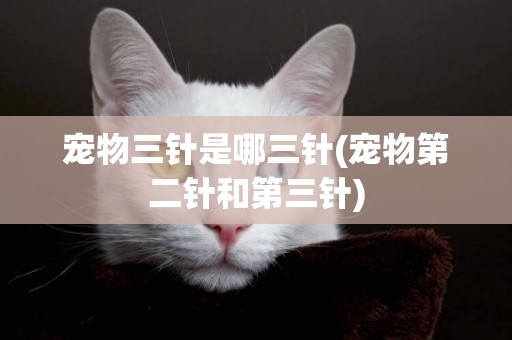 寵物三針是哪三針(寵物第二針和第三針)