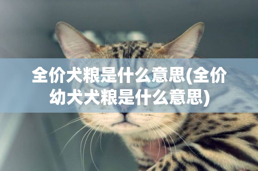 全價犬糧是什么意思(全價幼犬犬糧是什么意思)