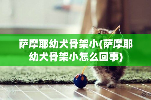 薩摩耶幼犬骨架小(薩摩耶幼犬骨架小怎么回事)