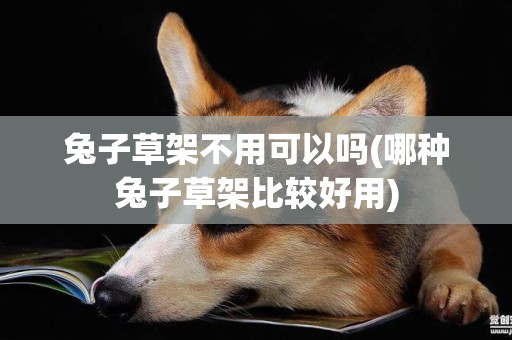 兔子草架不用可以嗎(哪種兔子草架比較好用)