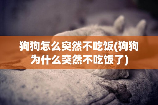 狗狗怎么突然不吃飯(狗狗為什么突然不吃飯了)