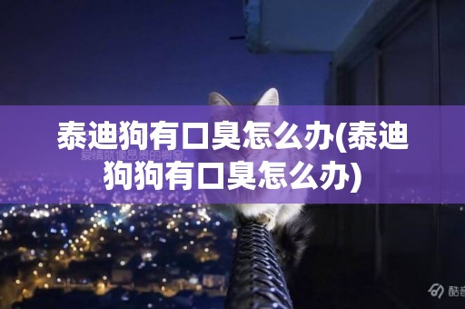 泰迪狗有口臭怎么辦(泰迪狗狗有口臭怎么辦)