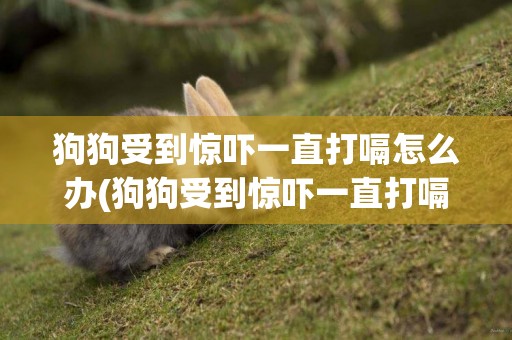 狗狗受到驚嚇一直打嗝怎么辦(狗狗受到驚嚇一直打嗝怎么辦啊)