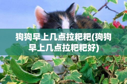 狗狗早上幾點拉粑粑(狗狗早上幾點拉粑粑好)