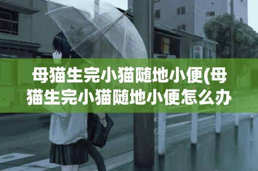 母貓生完小貓隨地小便(母貓生完小貓隨地小便怎么辦)