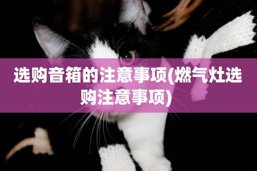 選購音箱的注意事項(燃氣灶選購注意事項) 