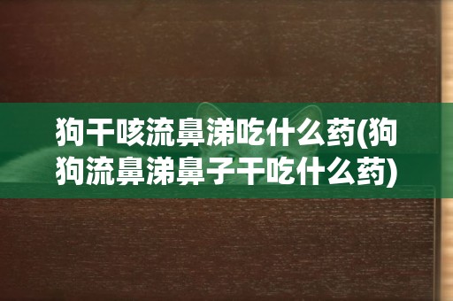 狗干咳流鼻涕吃什么藥(狗狗流鼻涕鼻子干吃什么藥)