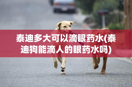泰迪多大可以滴眼藥水(泰迪狗能滴人的眼藥水嗎)