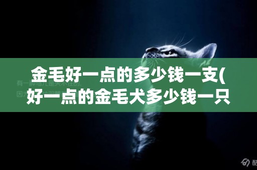 金毛好一點的多少錢一支(好一點的金毛犬多少錢一只)