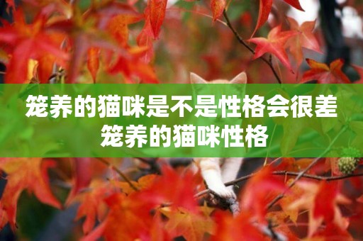 籠養的貓咪是不是性格會很差 籠養的貓咪性格