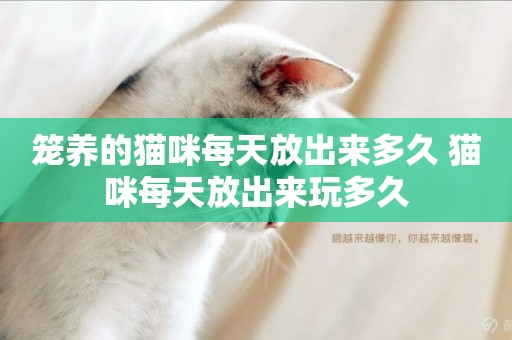 籠養的貓咪每天放出來多久 貓咪每天放出來玩多久