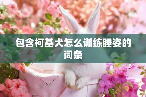 包含柯基犬怎么訓練睡姿的詞條