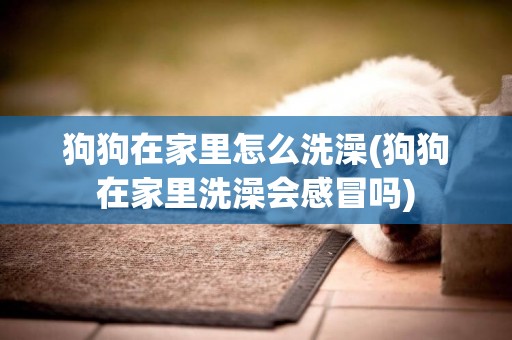 狗狗在家里怎么洗澡(狗狗在家里洗澡會感冒嗎)