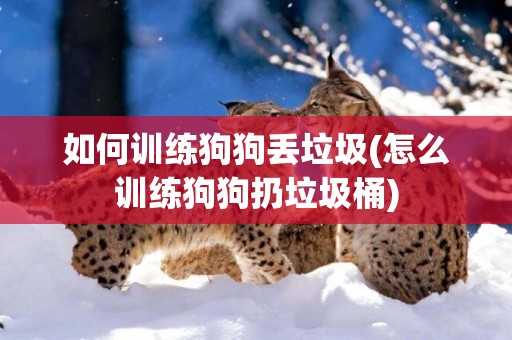 如何訓練狗狗丟垃圾(怎么訓練狗狗扔垃圾桶)