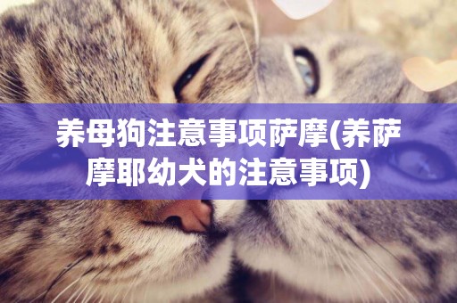 養母狗注意事項薩摩(養薩摩耶幼犬的注意事項)