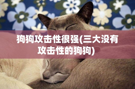 狗狗攻擊性很強(三大沒有攻擊性的狗狗) 