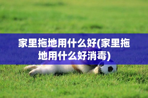 家里拖地用什么好(家里拖地用什么好消毒)