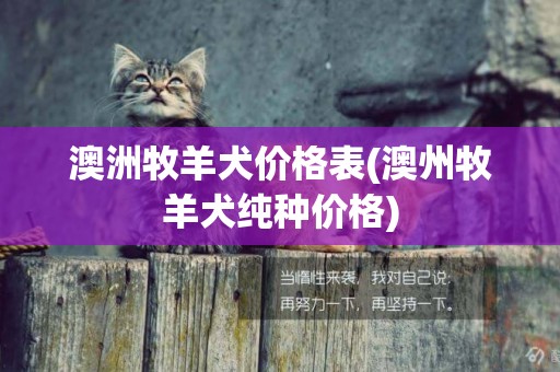 澳洲牧羊犬價格表(澳州牧羊犬純種價格)