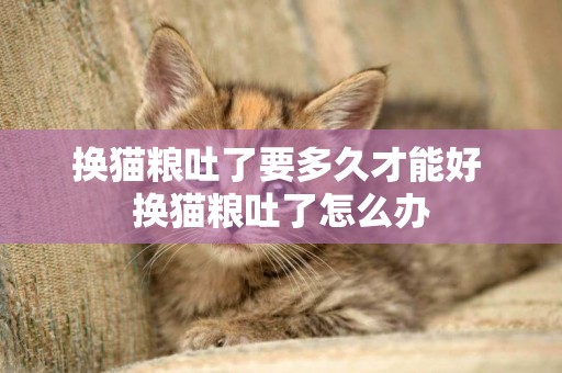 換貓糧吐了要多久才能好 換貓糧吐了怎么辦