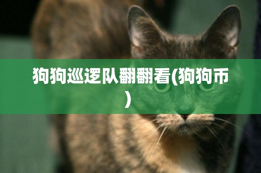 狗狗巡邏隊翻翻看(狗狗幣) 