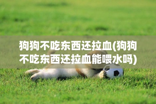 狗狗不吃東西還拉血(狗狗不吃東西還拉血能喂水嗎)