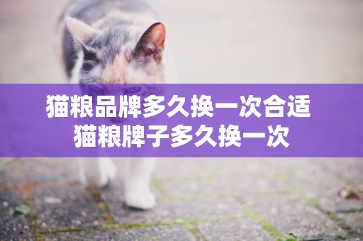貓糧品牌多久換一次合適 貓糧牌子多久換一次