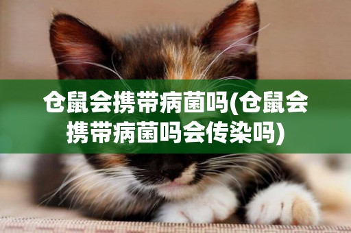 倉鼠會攜帶病菌嗎(倉鼠會攜帶病菌嗎會傳染嗎)