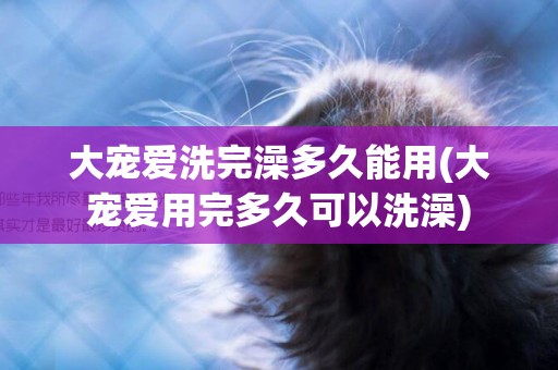 大寵愛洗完澡多久能用(大寵愛用完多久可以洗澡)