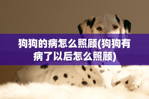 狗狗的病怎么照顧(狗狗有病了以后怎么照顧)