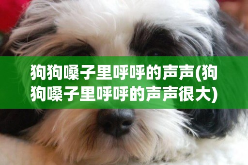狗狗嗓子里呼呼的聲聲(狗狗嗓子里呼呼的聲聲很大)