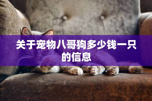 關于寵物八哥狗多少錢一只的信息