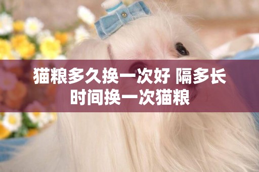 貓糧多久換一次好 隔多長時間換一次貓糧