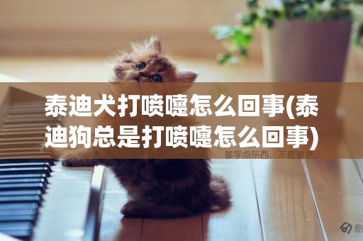 泰迪犬打噴嚏怎么回事(泰迪狗總是打噴嚏怎么回事)