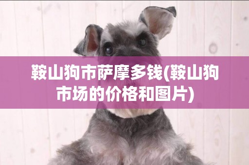 鞍山狗市薩摩多錢(鞍山狗市場的價格和圖片)