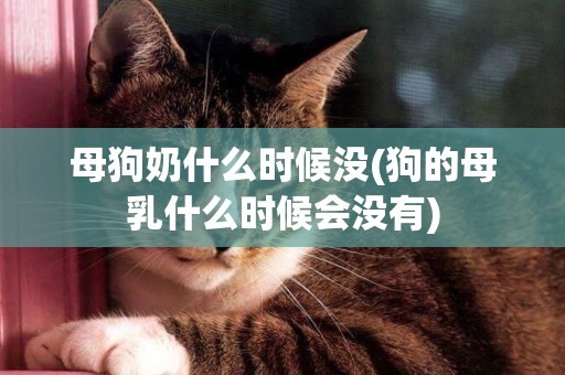 母狗奶什么時候沒(狗的母乳什么時候會沒有)
